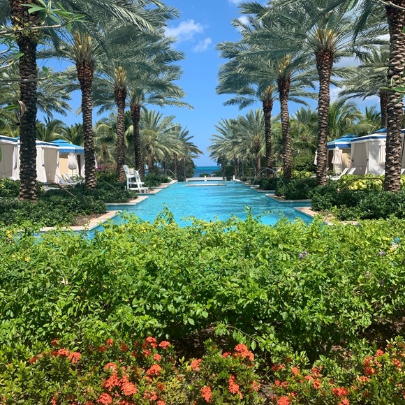 Meet your Posher, Laura - Picture 1 of 1